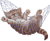 chatte